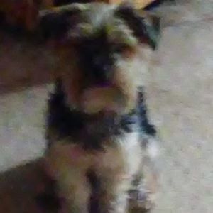 Meet your Posher, Caren